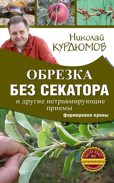 Обрезка без секатора и другие нетравмирующие приемы формировки кроны - фото 1