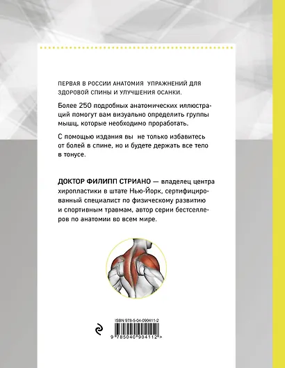Анатомия упражнений для спины (2-е изд.) - фото 2