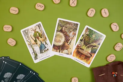 The Wildwood Tarot. Таро Дикого леса (78 карт карт и руководство в подарочном футляре) - фото 7