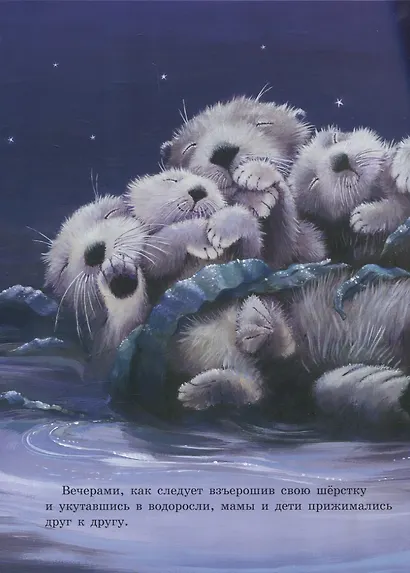 Скорей давай лапу! - фото 4