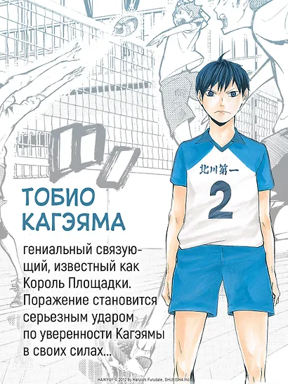 Волейбол! Том 1 - Хината и Кагэяма. Вид с высоты (Haikyuu!). Манга - фото 8