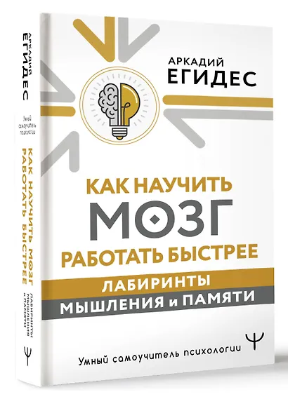 Как научить мозг работать быстрее. Лабиринты мышления и памяти - фото 3