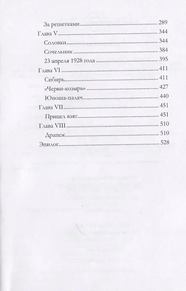 Молодежь и ГПУ. Жизнь и борьба советской молодежи - фото 3