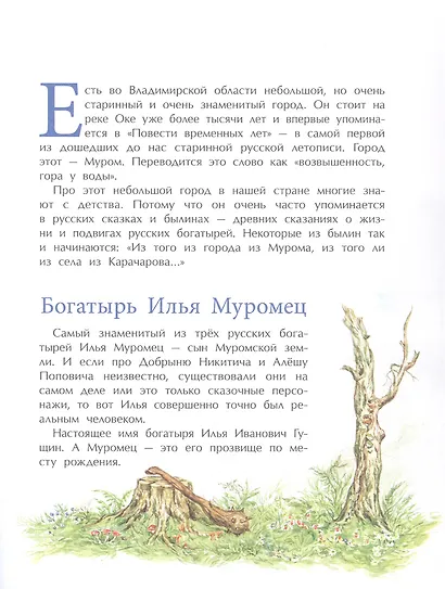 Муром. Родина Ильи Муромца - фото 2