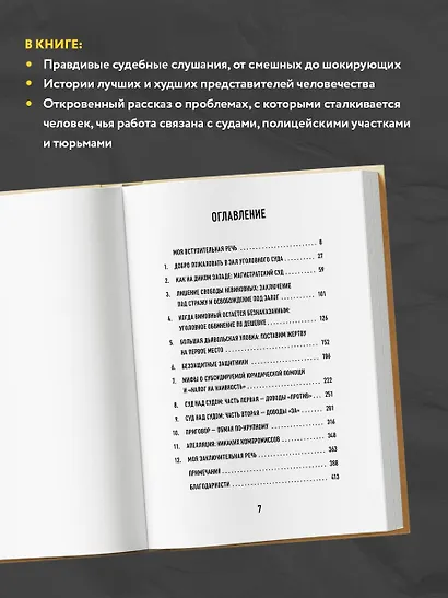 Тайный адвокат. Ложные приговоры, неожиданные оправдания и другие игры в справедливость - фото 5