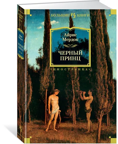 Черный принц - фото 2