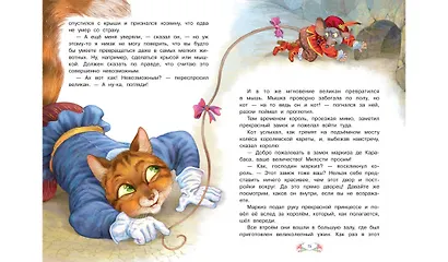 Кот в сапогах - фото 2