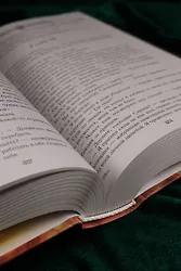 Академия драконов - фото 12