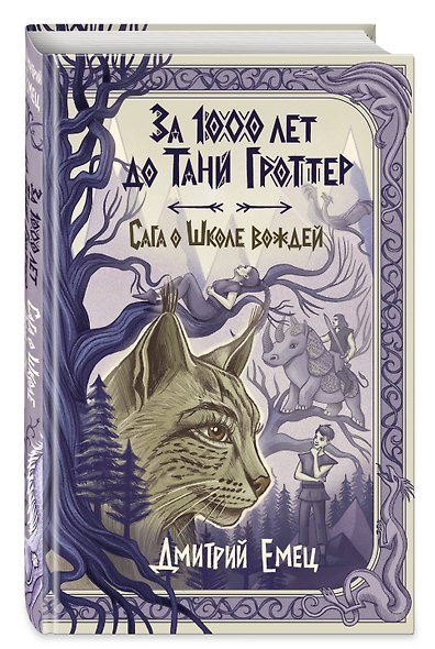 За 1000 лет до Тани Гроттер. Сага о Школе вождей (#1) - фото 3