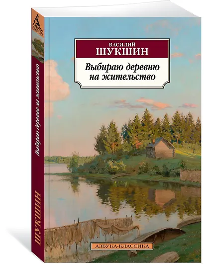 Выбираю деревню на жительство - фото 3