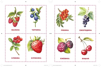 Карточки для нейротренировки по методике Гленна Домана: с 6 месяцев - фото 6