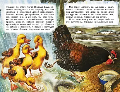 Рассказы о природе - фото 10
