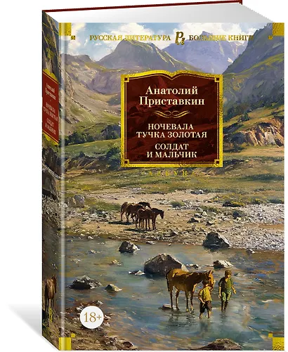 Ночевала тучка золотая. Солдат и мальчик - фото 3