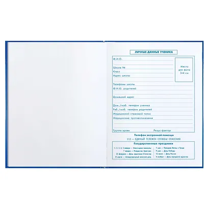 Дневник для младших классов Феникс+, "Кибер" - фото 3