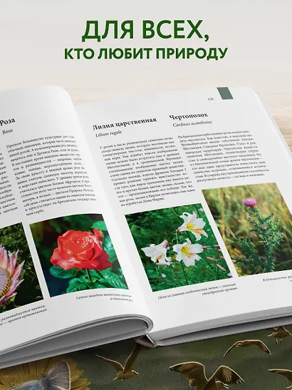 Атлас Земли. Животные, растения, грибы, бактерии, минералы и другие сокровища нашей планеты - фото 6