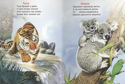 Стишата о зверятах - фото 2