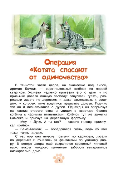 Агент Ноль-ноль-кот - фото 4