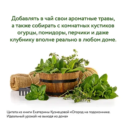 Огород на подоконнике. Идеальный урожай не выходя из дома - фото 8