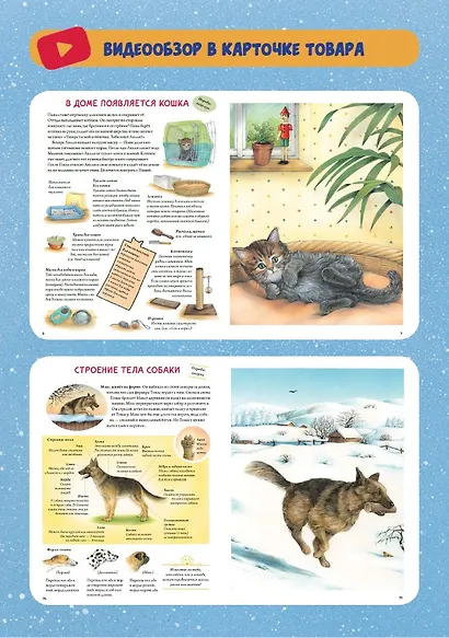 Моя самая красивая книга о кошках и собаках - фото 4