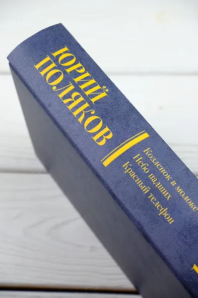 Собрание сочинений. Том 3. 1994-1998 - фото 9