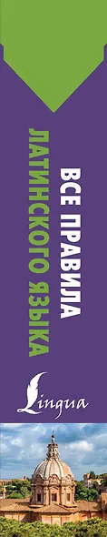 Все правила латинского языка - фото 4