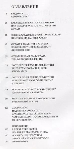 Зеркало ислама - фото 2