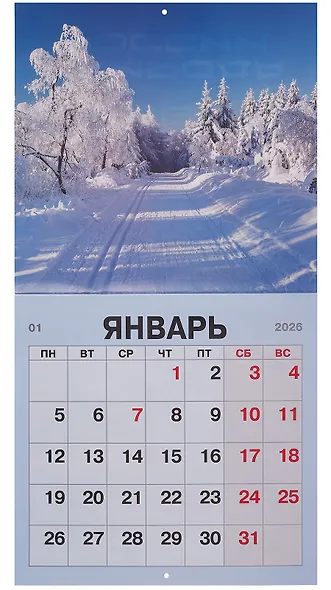 Календарь 2026г 300*290 "Природа России" настенный, на скрепке - фото 3