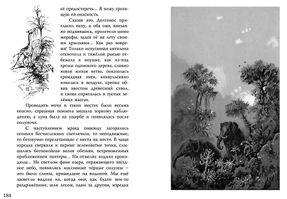 С Севера на Юг. Путевые воспоминания старого журавля - фото 5