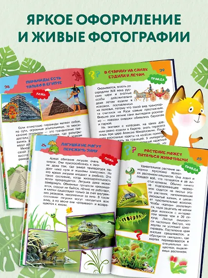 А правда, что... - фото 6