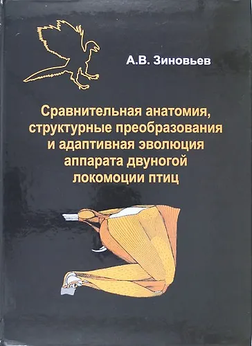 Сравнительная анатомия, структурные преобразования и адаптивная эволюция аппарата двуногой локомоции птиц - фото 1