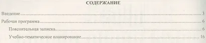 Русский язык. 5 класс. Рабочая программа по учебнику Т.А. Ладыженской, М.Т. Баранова, Л.А. Тростенцовой - фото 2