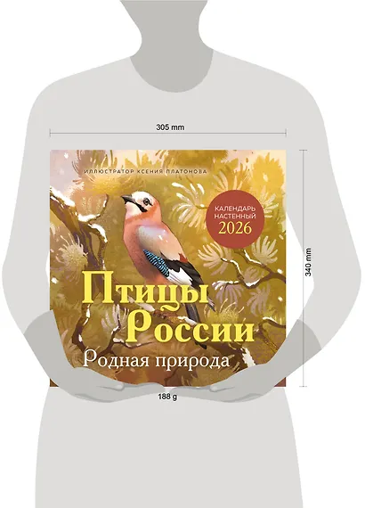 Птицы России. Родная природа. Календарь настенный на 2026 год (300х300 мм) - фото 6