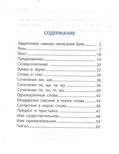 Универсальный тренажер. Русский язык. 2 класс - фото 2