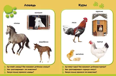 У бабушки в деревне. Развиваем малыша (2-3 года) - фото 3