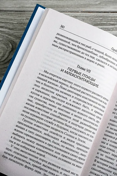 История цивилизации - фото 8