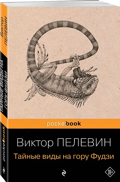 Тайные виды на гору Фудзи - фото 3