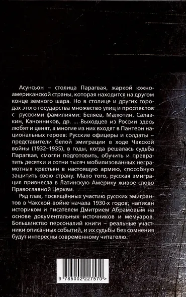 Белый легион в Парагвае. Русские герои Южной Америки - фото 2