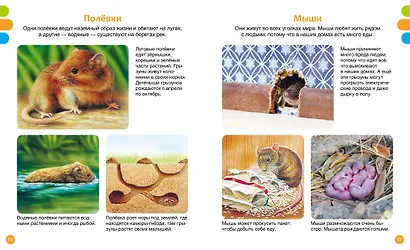 Животные-малютки - фото 9