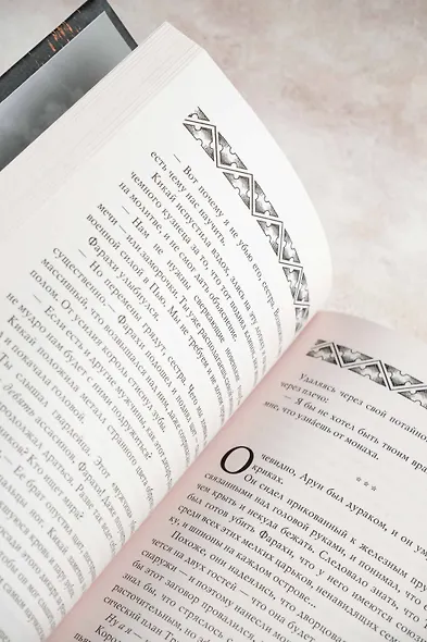 Короли пепла - фото 11