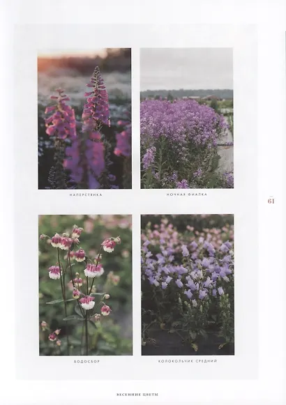 Цветочный сад. Год в окружении прекрасных растений - фото 7