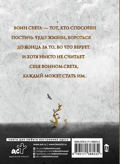 Книга воина света - фото 2