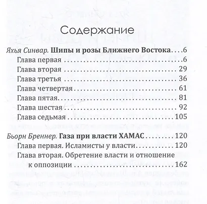Как победить Израиль. Шипы и розы Ближнего Востока - фото 3