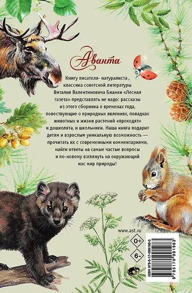 Лесная газета - фото 2
