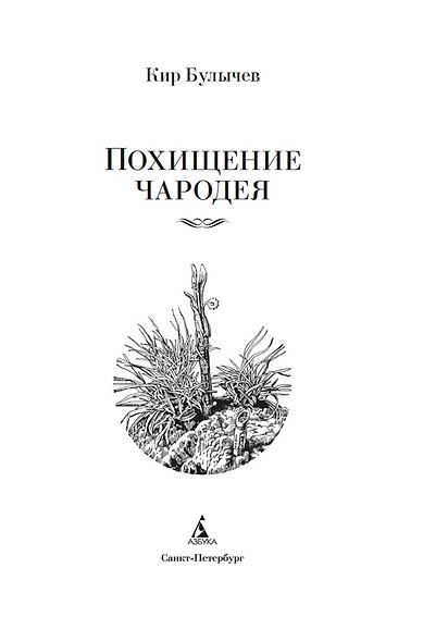 Похищение чародея - фото 7