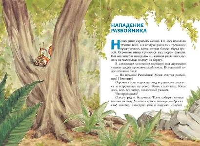 Еж Латте и опасное путешествие. Приключение второе - фото 5