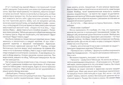 Дульсинея и Тобольцев, или 17 правил автостопа - фото 2