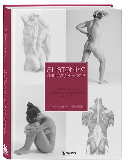 Анатомия для художника. Самое полное пособие по изображению человека - фото 3
