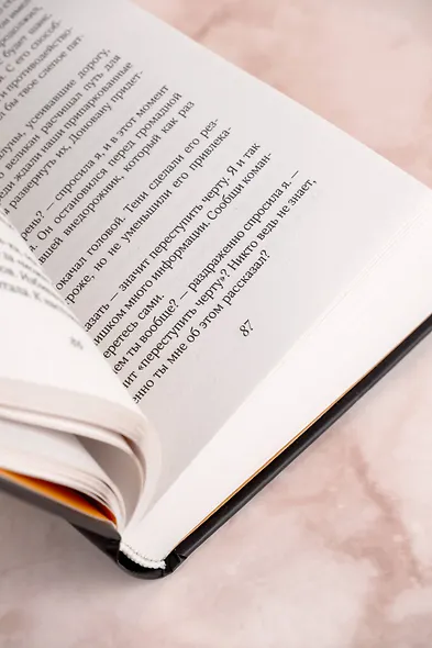 Грех и молния: роман - фото 11