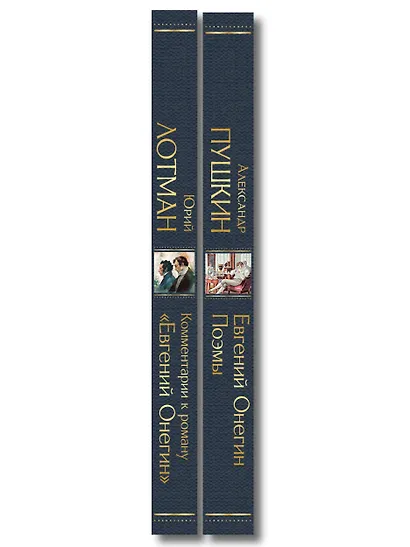 Расшифрованный Евгений Онегин (набор из 2 книг: Евгений Онегин, Комментарии к роману «Евгений Онегин». Биография А. С. Пушкина) - фото 8