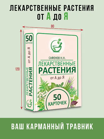 Лекарственные растения от А до Я. 50 карточек - фото 4